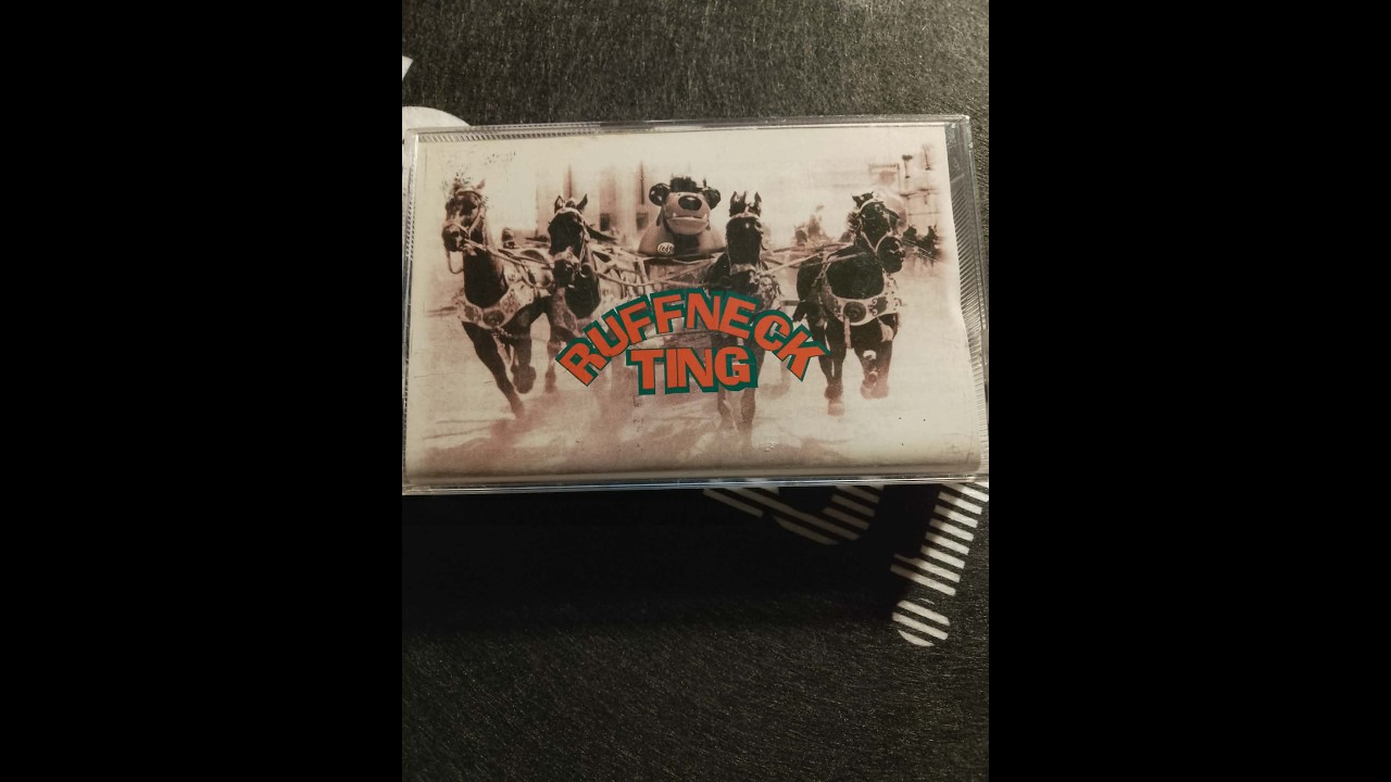 Mickey Finn &ndash; Ruffneck Ting   Live At Lakota