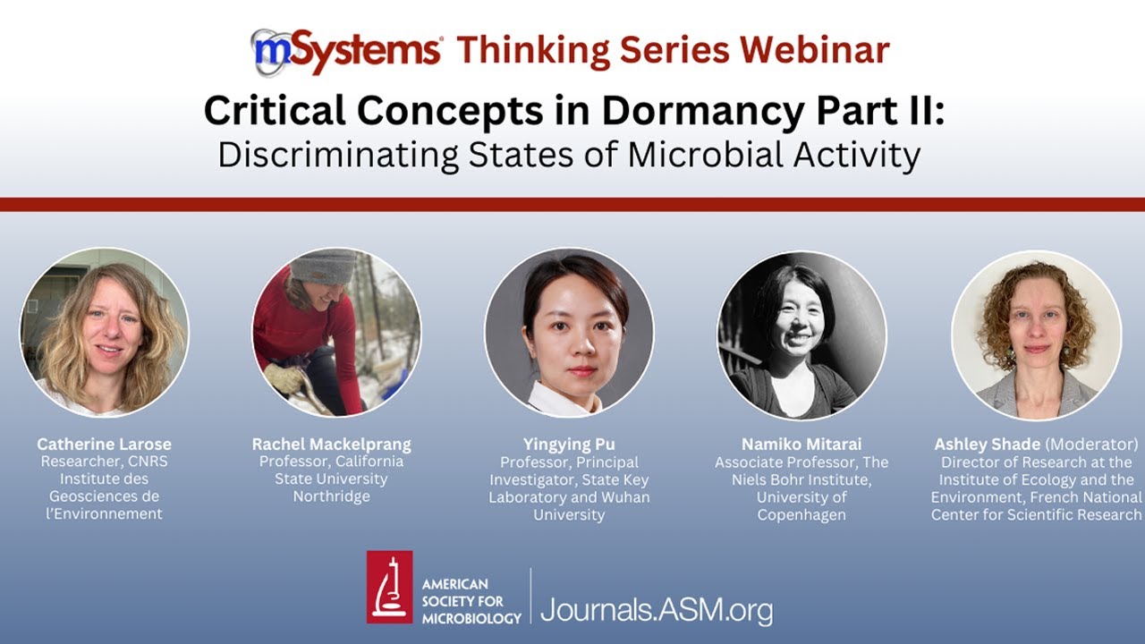 Critical Concepts in Dormancy Part II: Discriminating States of Microbial Activity