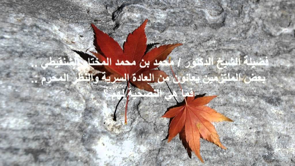بعض الملتزمين يعانون من العادة السرية#الشنقيطي