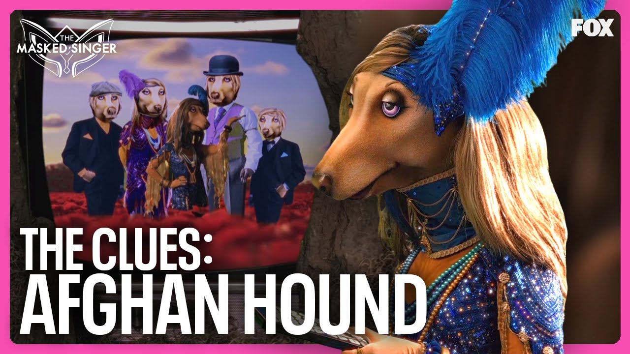 The Clues: Afghan Hound | Season 11 | The Masked Singer