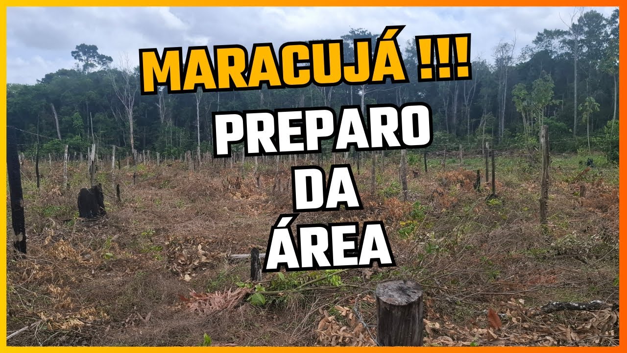 Maracujá: Preparo da Área