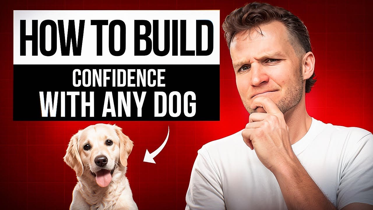 Why is my dog afraid of everything? 5 Reasons dogs become fearful- Dog Training Video