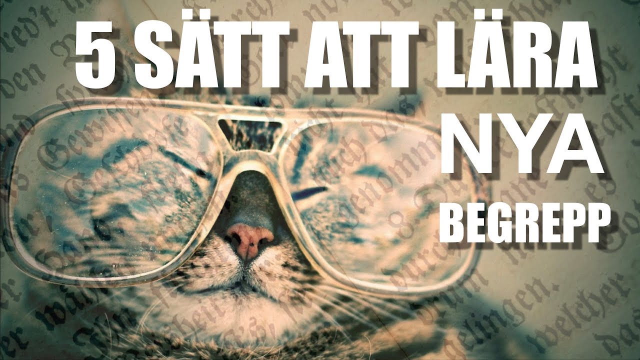 5 sätt att lära sig nya begrepp