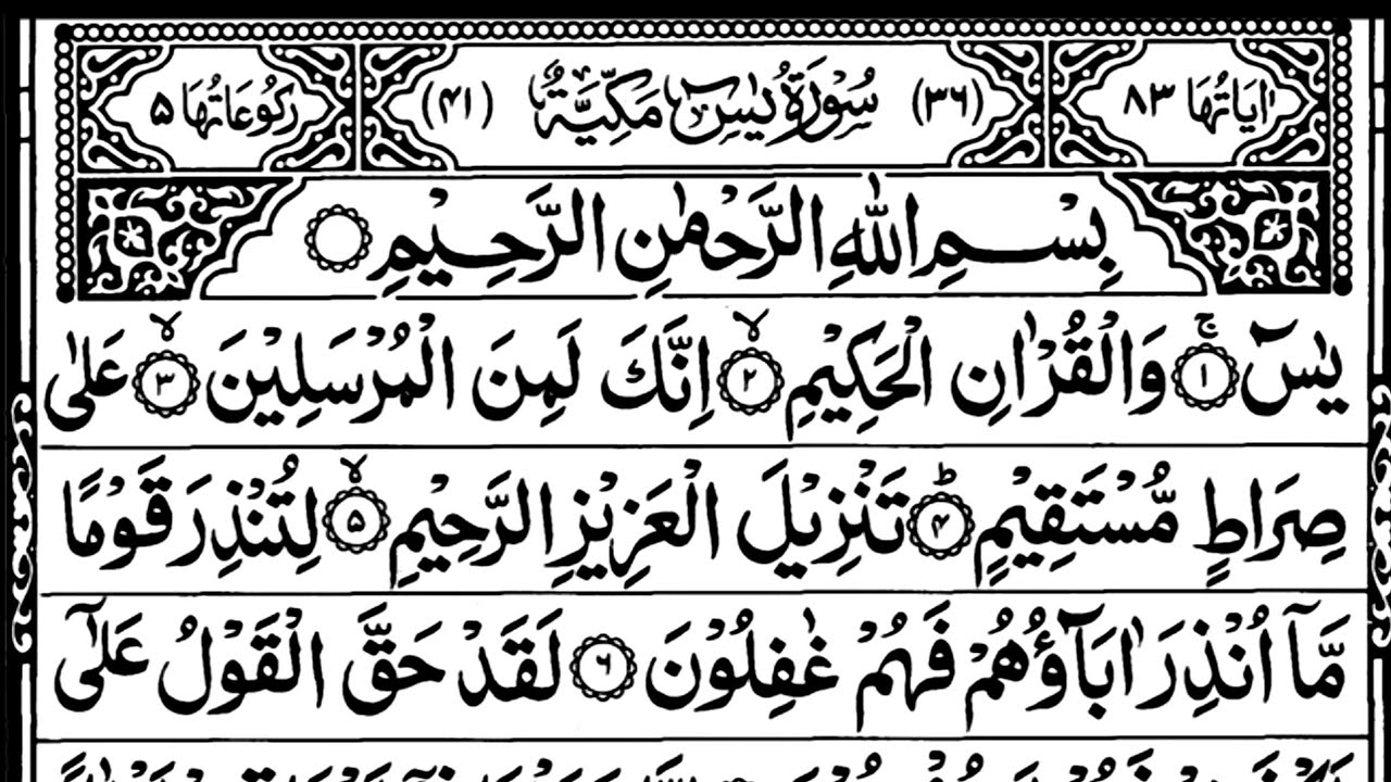 Surah Yasin Surah Rahman Tilawat | Beautiful Recitation | Surah Yaseen Tilawat |Quran Tilawat| 260