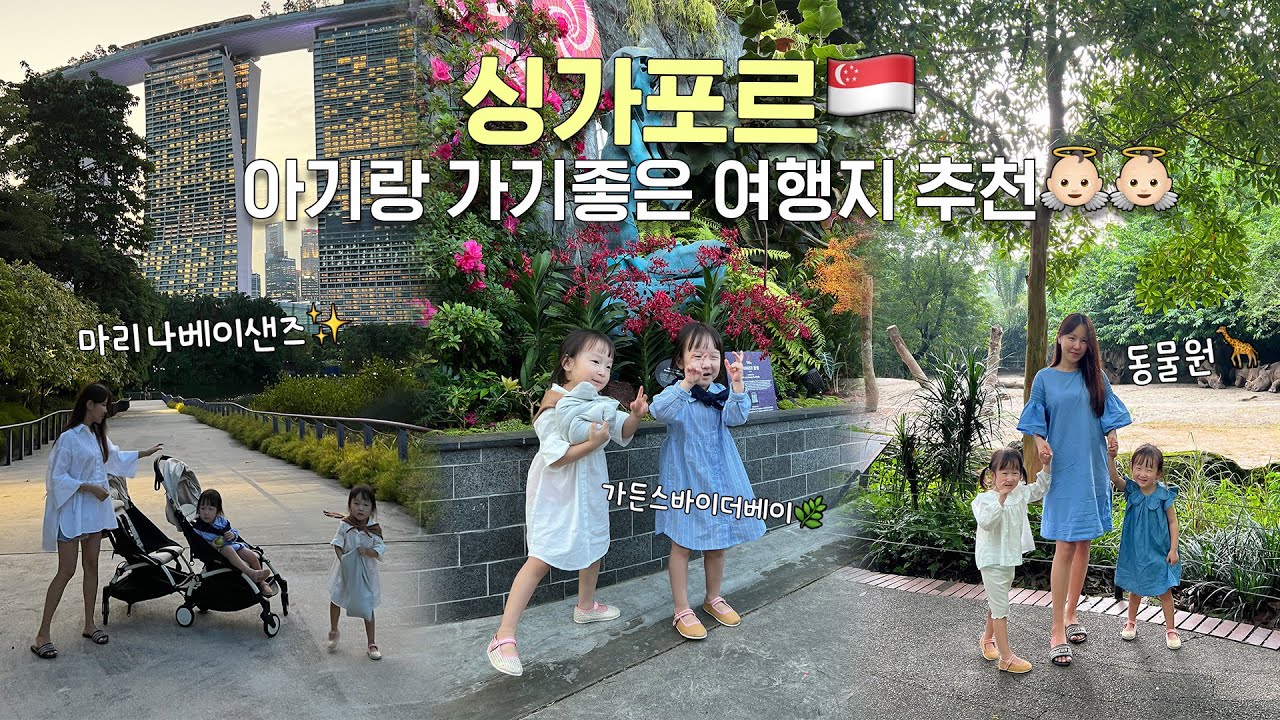 [쌍둥이육아Vlog] 싱가포르에 아기랑 여행가면 추천하는곳 / 가든스바이더베이 클라우드 포레스트 / 싱가포르 동물원 / 칠리크랩 맛집