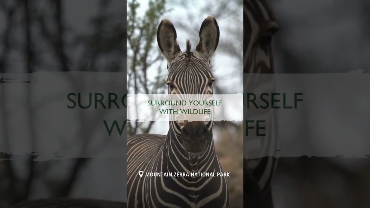 Mountain Zebra National Park #Sanparks