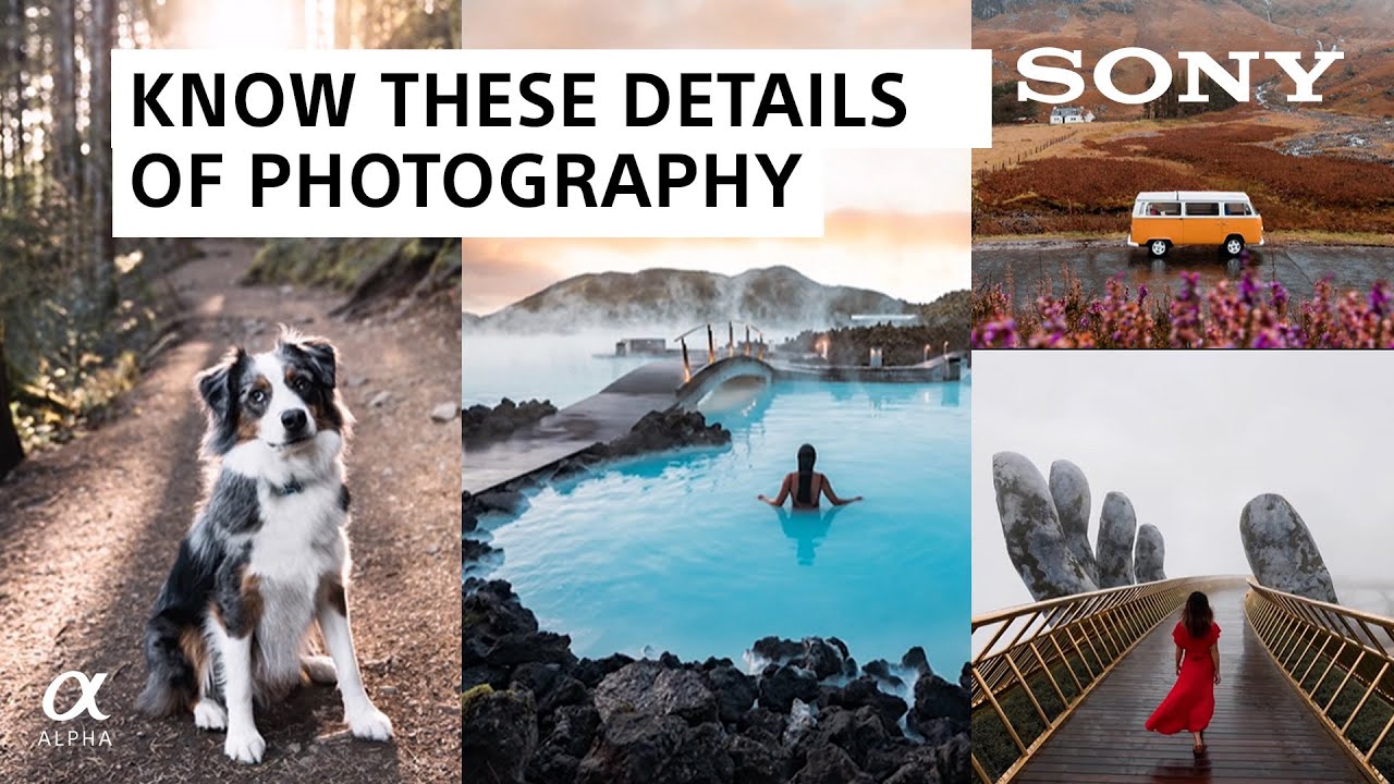 These 7 Rules & Techniques of Composition Are For All Photographers |  Tiffany Nguyen