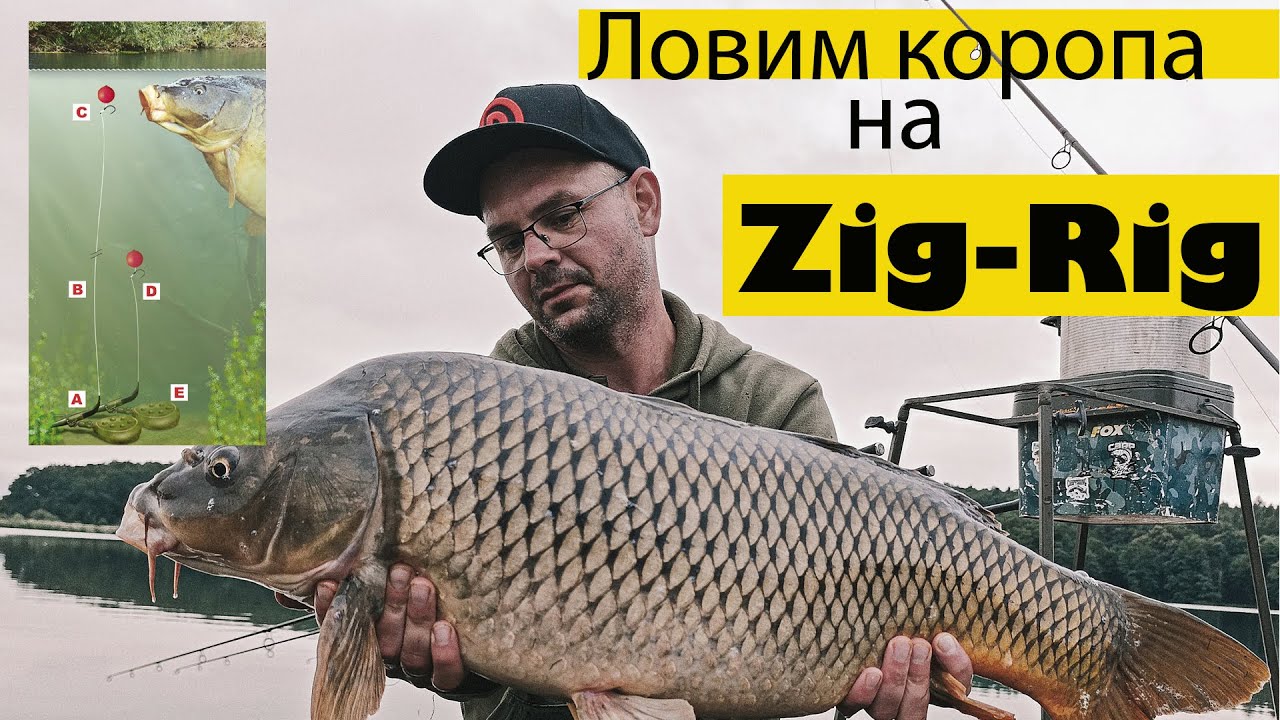 Ловля коропа на Zig-Rig.Нереально крута рибалка на водоймі Доброгостів.