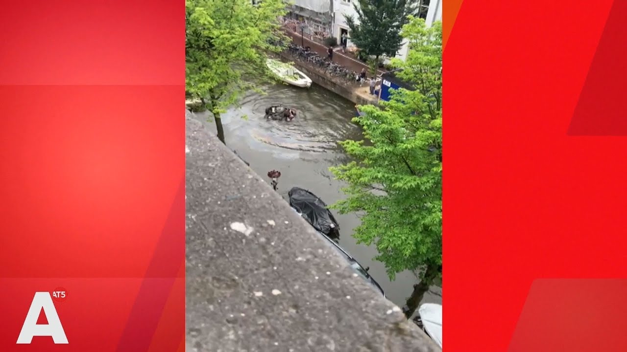 Auto te water, bestuurder rent weg
