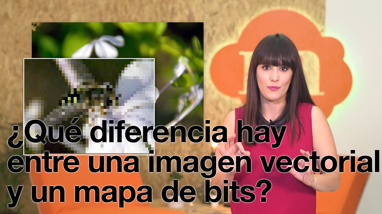 ¿Qué diferencia hay entre una imagen vectorial y un mapa de bits? { Micro Conocimiento by @Mazzima
