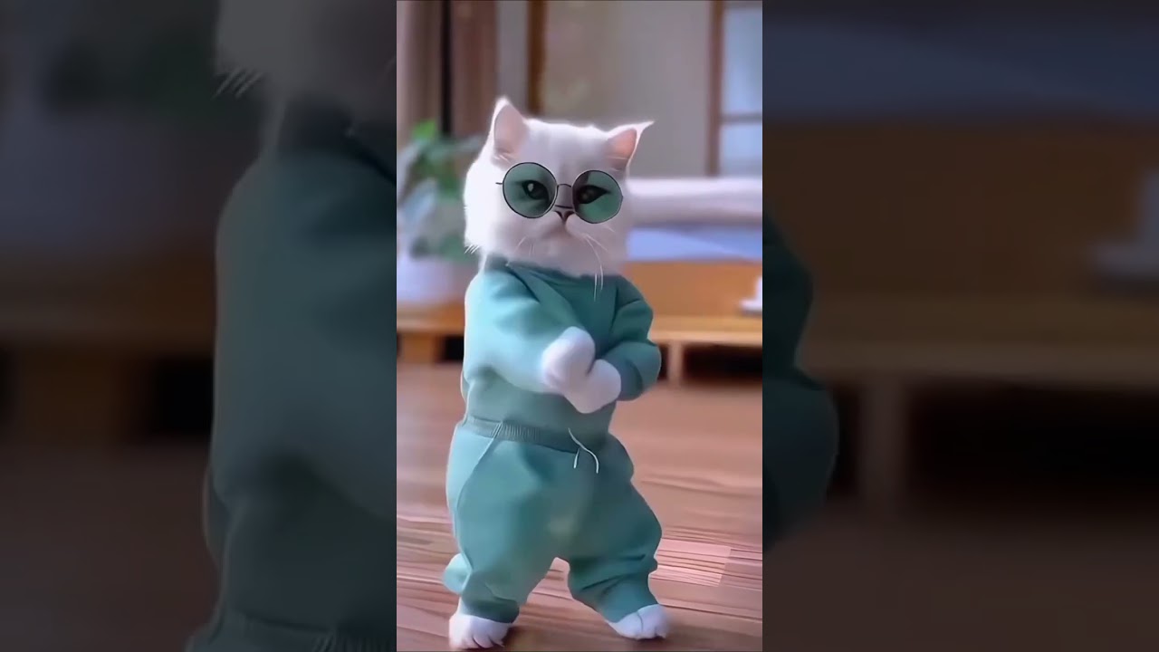 Mini dance video Billi video kaisa laga aur comedy batao very pretty beautiful ❤️❤️ #nikhildwivedi