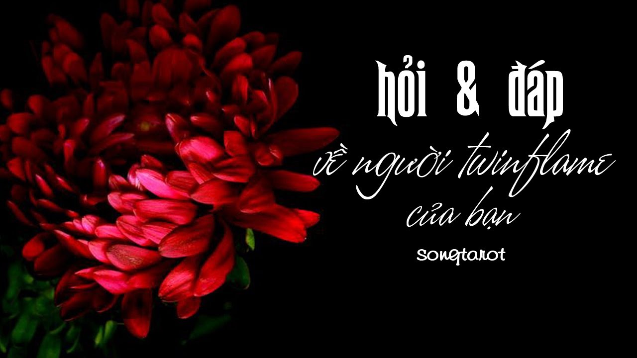 twinflame hỏi & đáp về người twinflame của bạn