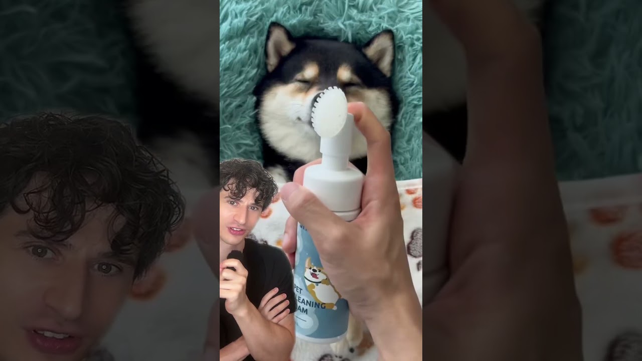 MOST RELAXING DOGGY FACIAL!!! #dermreacts #skincare #asmr