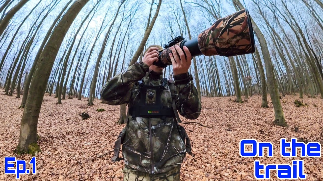 On the trail|Prechádzka po hrebeni|Wildlife photography