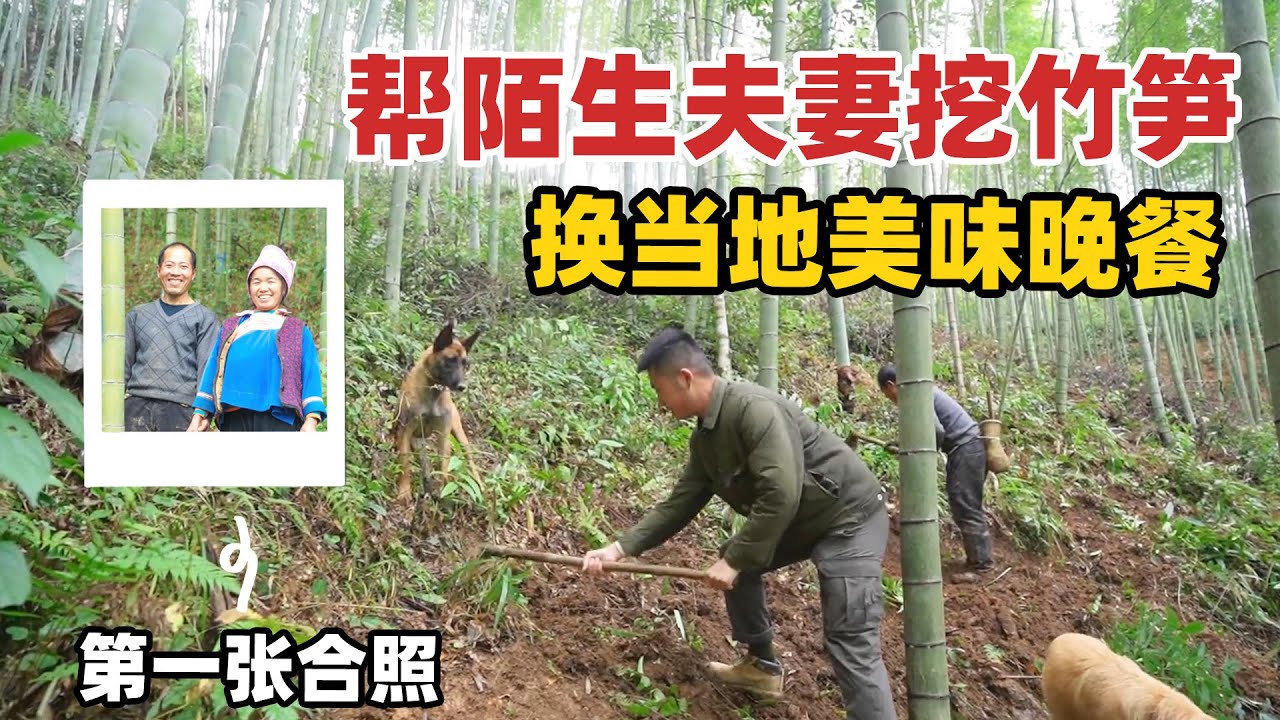 帮陌生夫妻挖冬笋，顺带蹭一顿特色美味，山里人的真诚令人感动【小白的喜欢旅行】