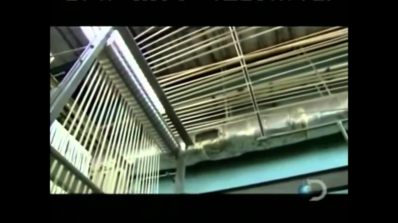 Producción de fibra de algodón (Telas e Hilos)