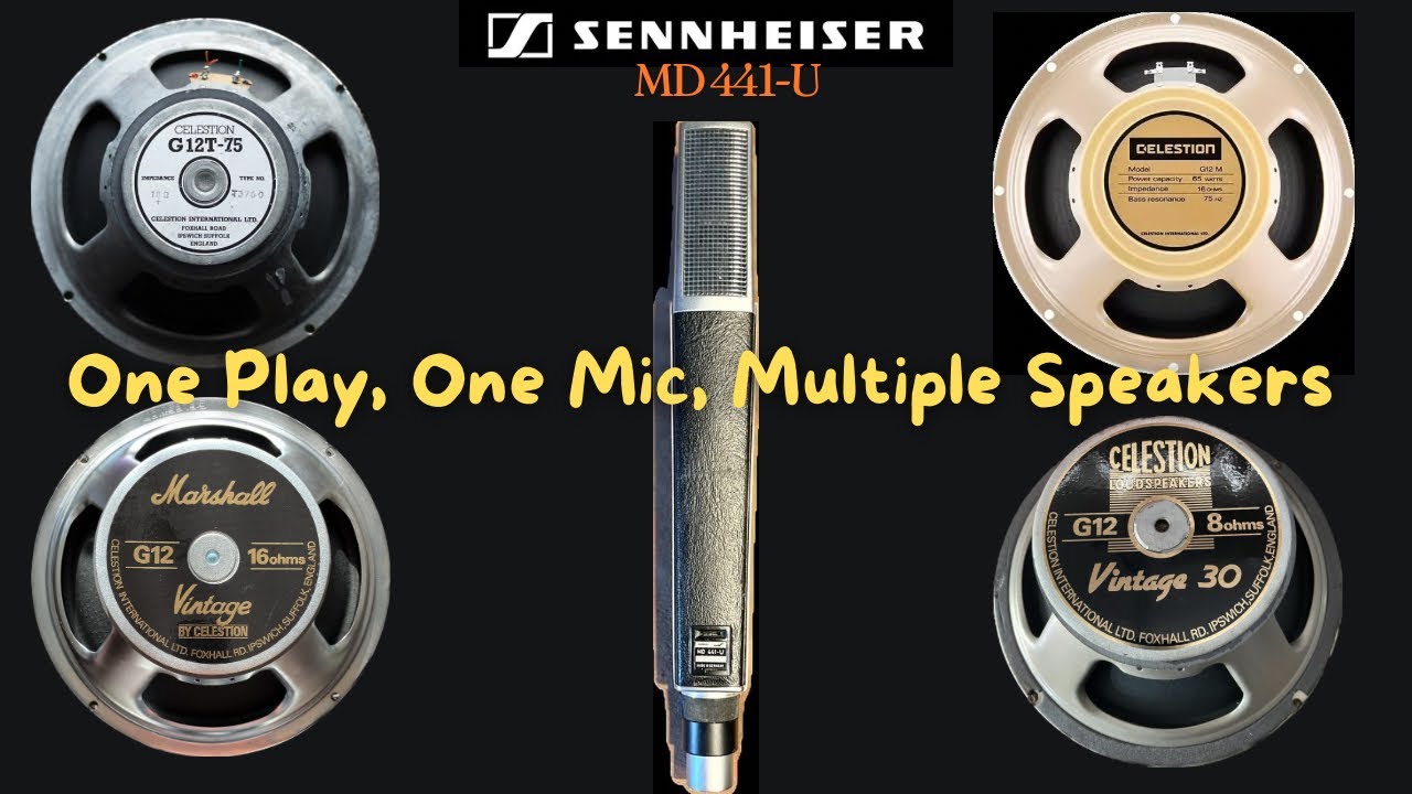 Sennheiser MD441-U | One Play, One Microphone, Multiple Speakers