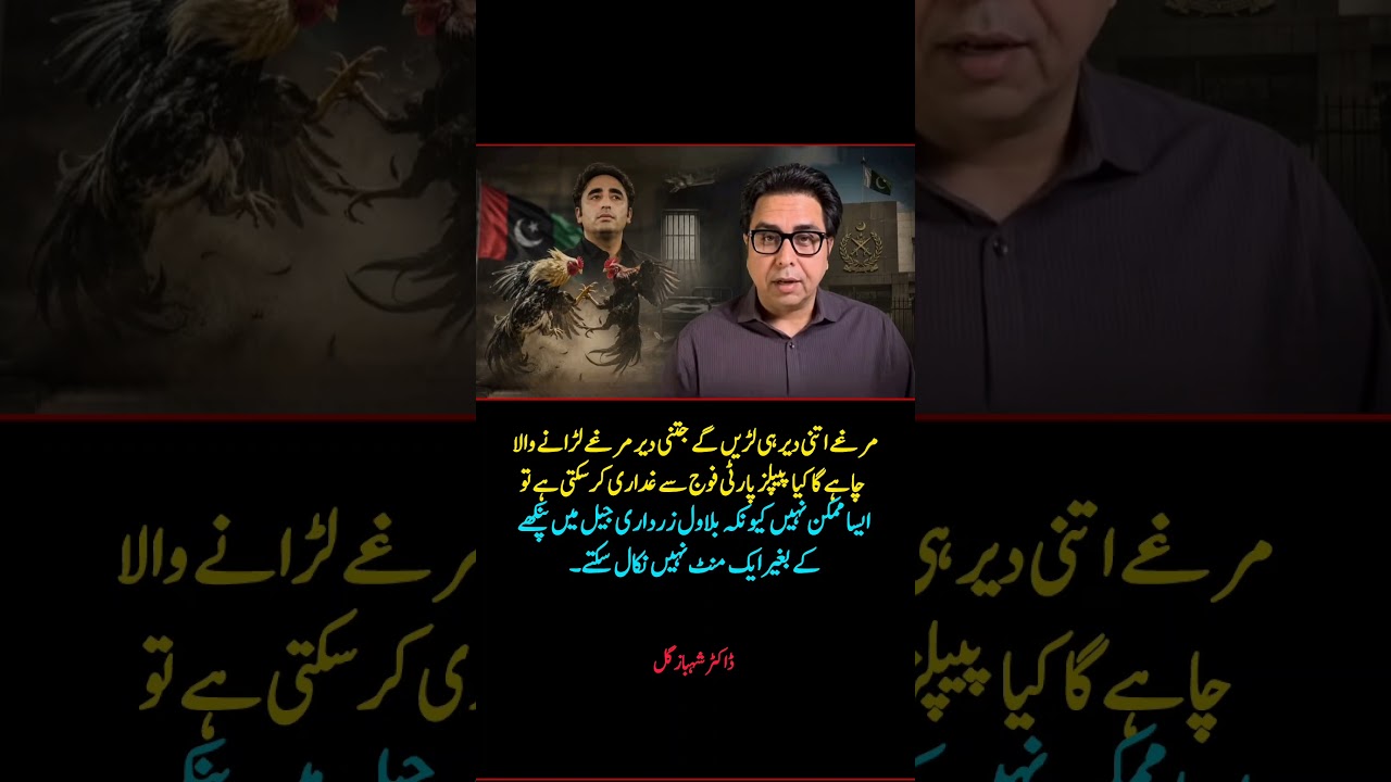 Shahbaz Gill's Explosive Remark on Bilawal Bhutto & PPP | Pakistani Politics Debate
