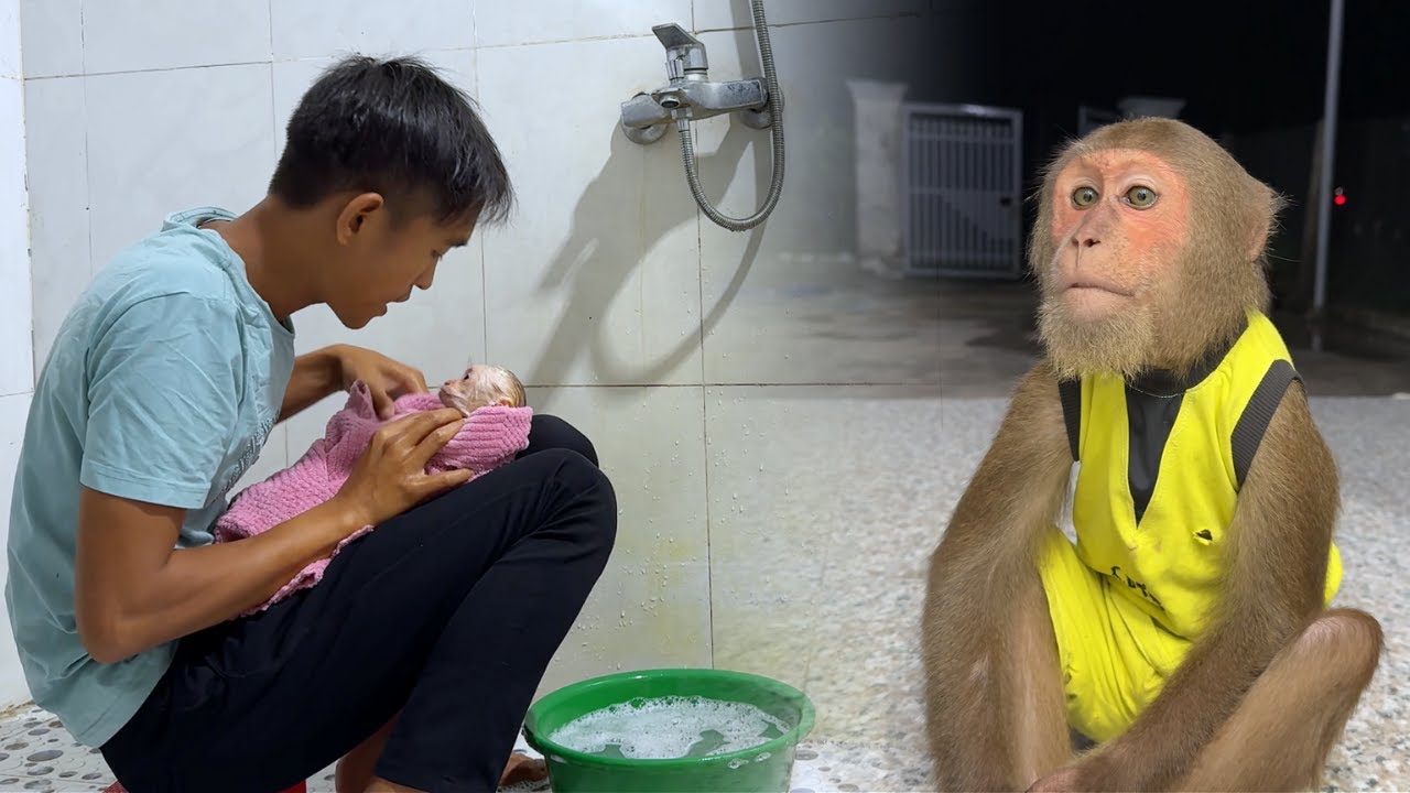 Try Not to Laugh! CUTIS Funny Attempt to Avoid Bath with Dad