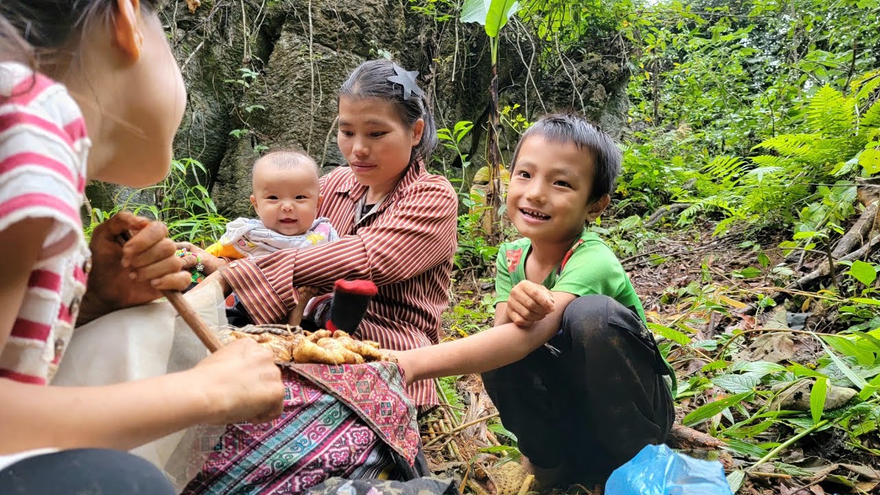 Dia single mother children :Dig fresh ginger root and sell it at the market to pay tuition