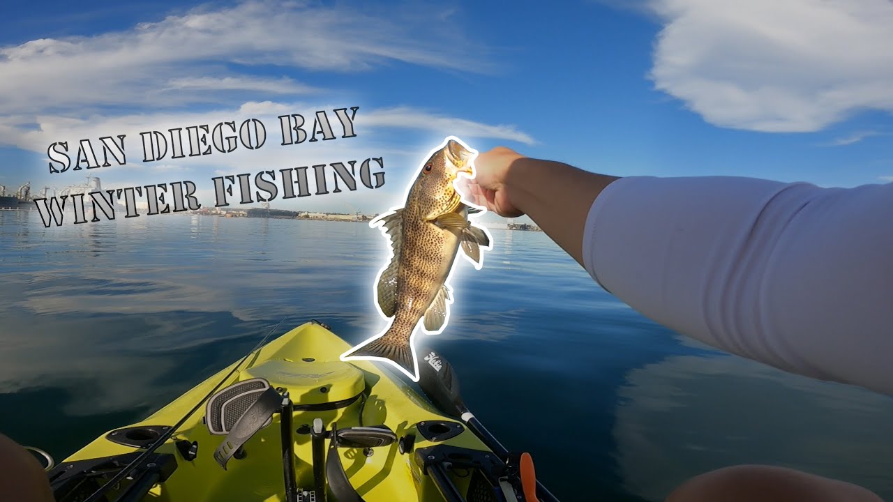 WINTER FISHING | San Diego Bay Fishing