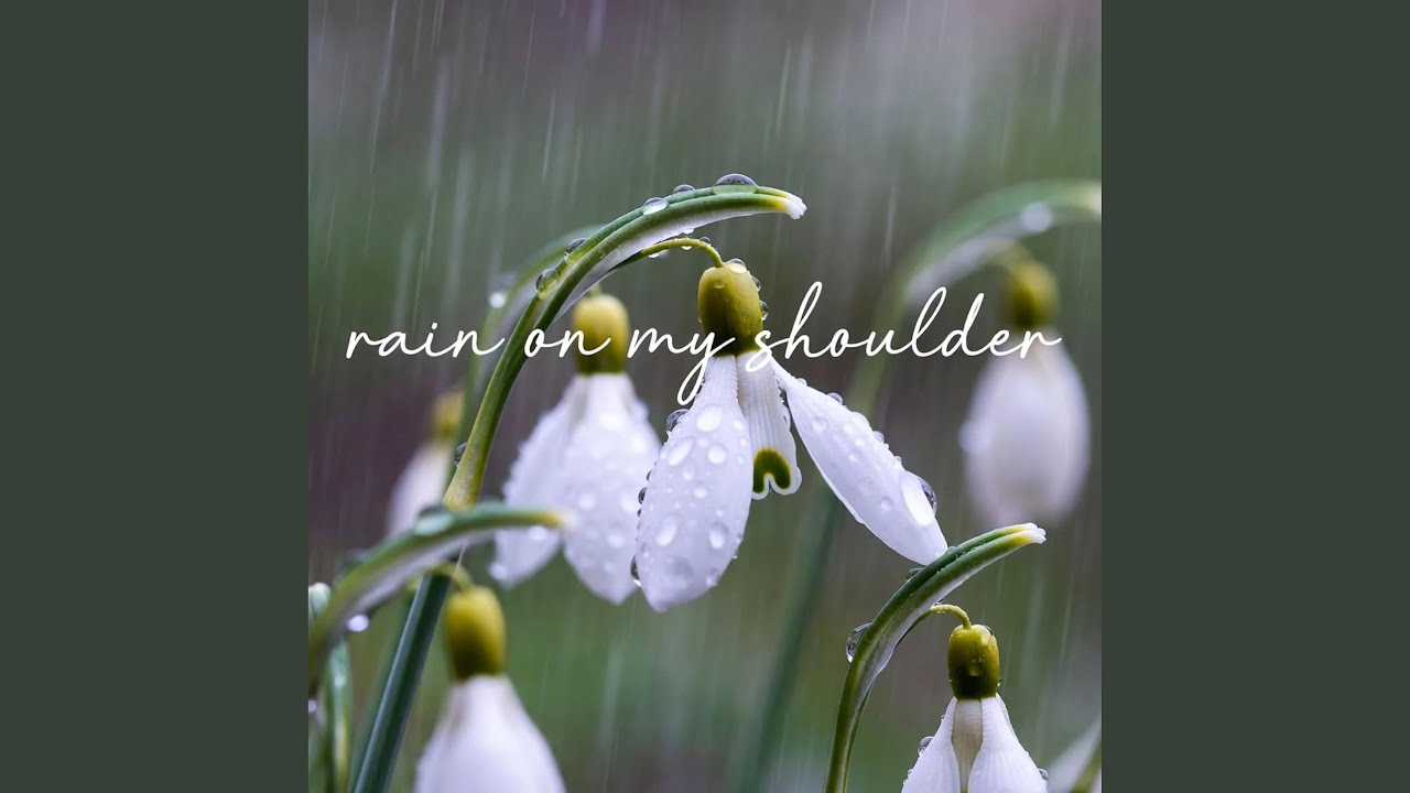 Rain On My Shoulder