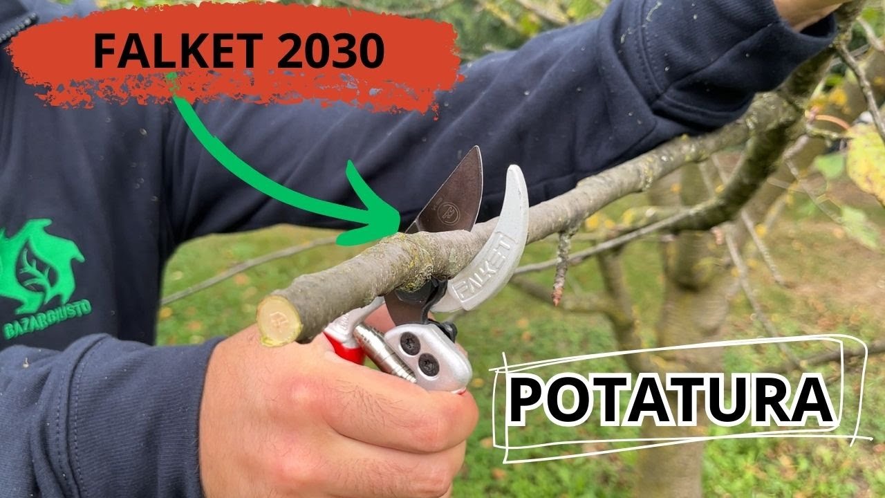 Potatura al TOP? Ecco cosa devi utilizzare