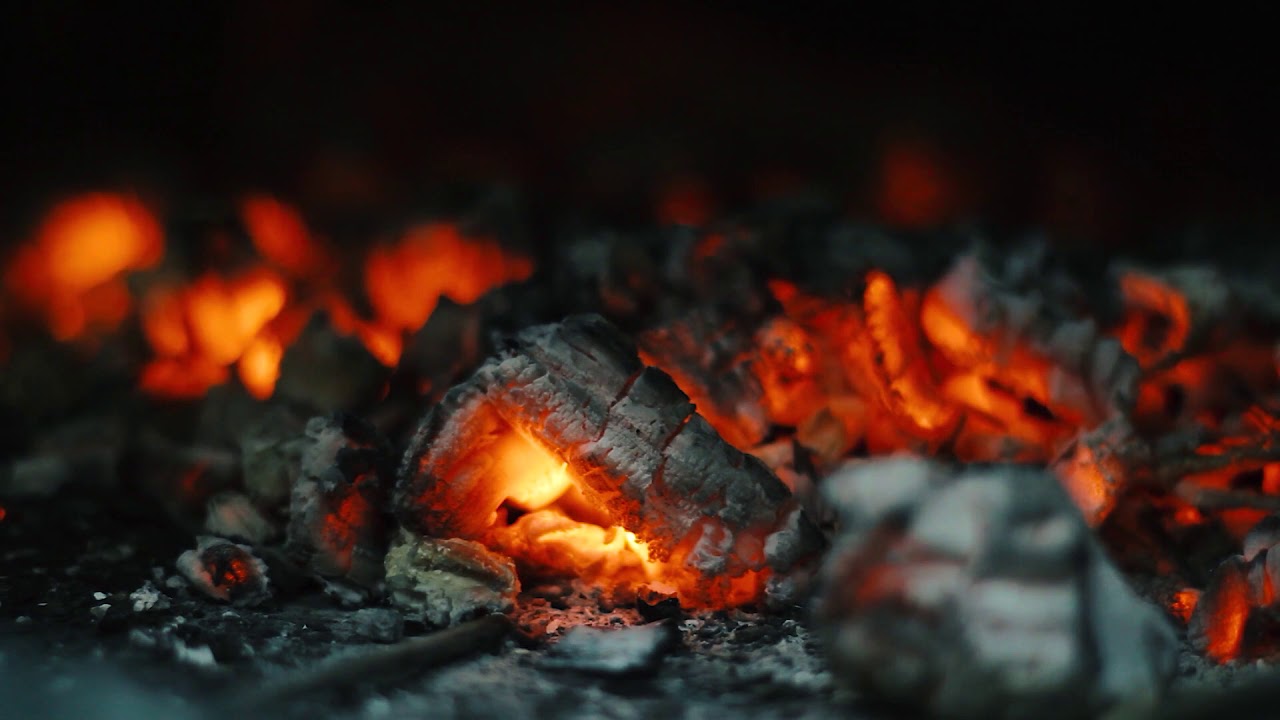 De Fenix - Videovesper 1