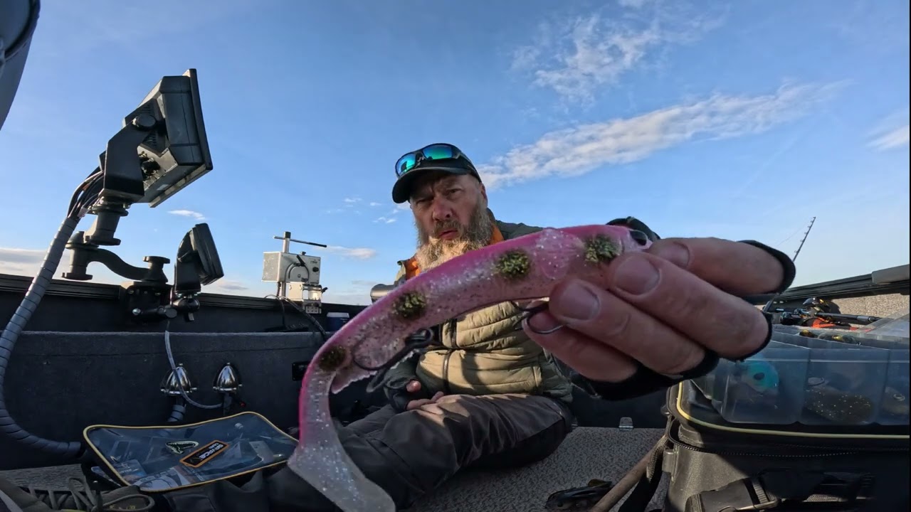 SavageGear GOBY SHAD, vieni geriausių masalų lydekų žvejyboje