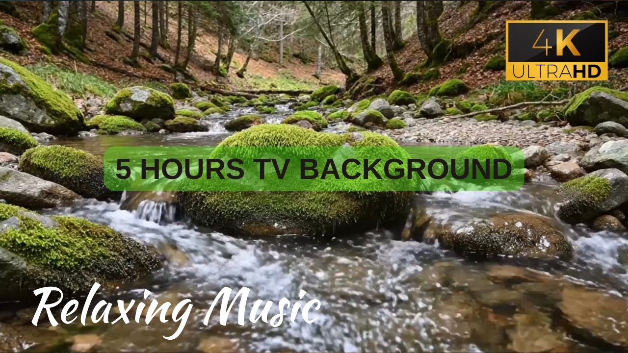 Forest Creek with Gentle Water Flow – Calm Ambient Nature Background