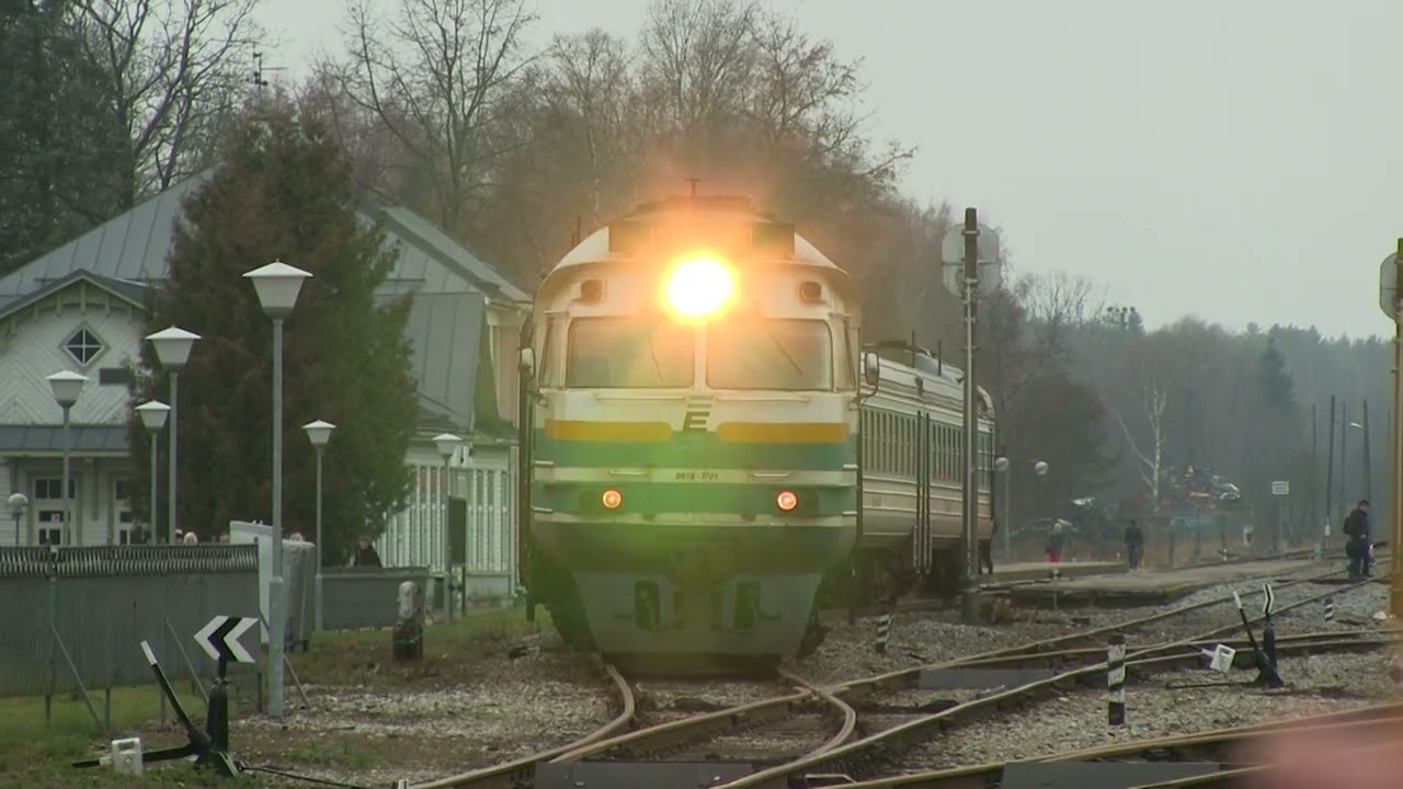 Дизель-поезд ДР1А-244 на ст. Тюри / DR1A-244 DMU at Türi station