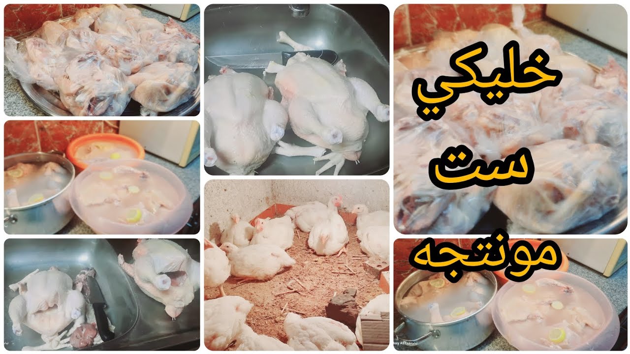 اللي اوله تعب اخره راحه🫰تفريزات وخزين رمضان من انتاجي💯 