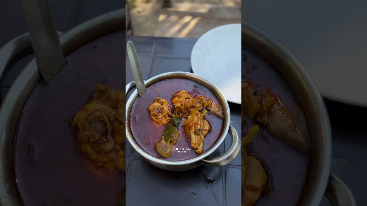 NORTH INDIA ROAD TRIP 01-MANALI |Foodie Sha|
