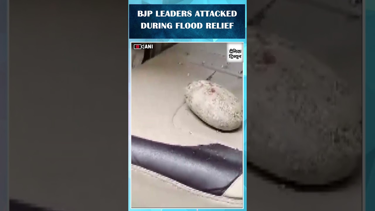 BJP MP Khagen Murmu & MLA Shankar Ghosh Attacked in Nagrakata, Vehicle Vandalized