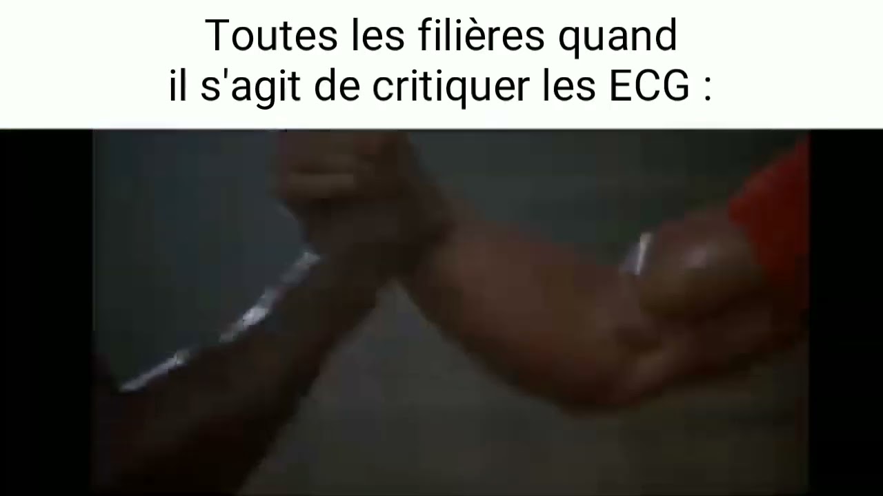 Stanislas Cannes Slander 2 (prépa)