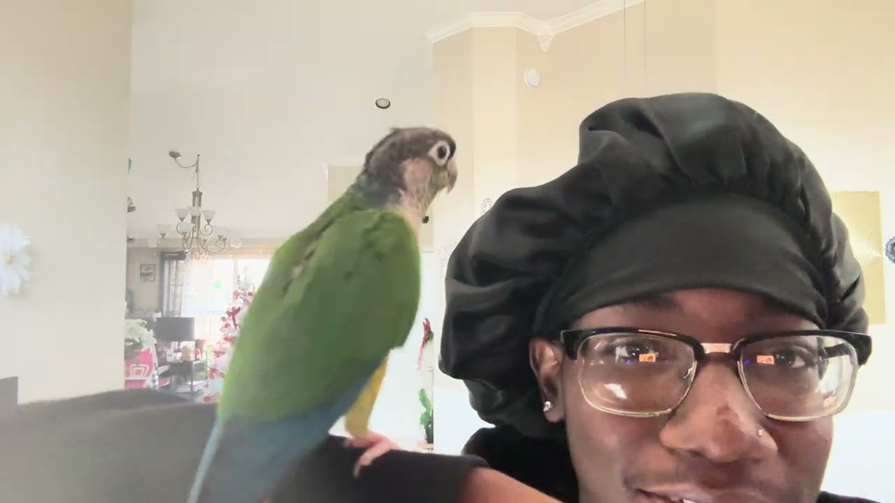 Elijah the animal trainer! Ft. Quay