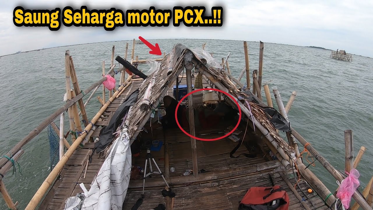 Tiga Bulan Antri Mancing disaung ini hasilnya diluar akal || tanjung kait
