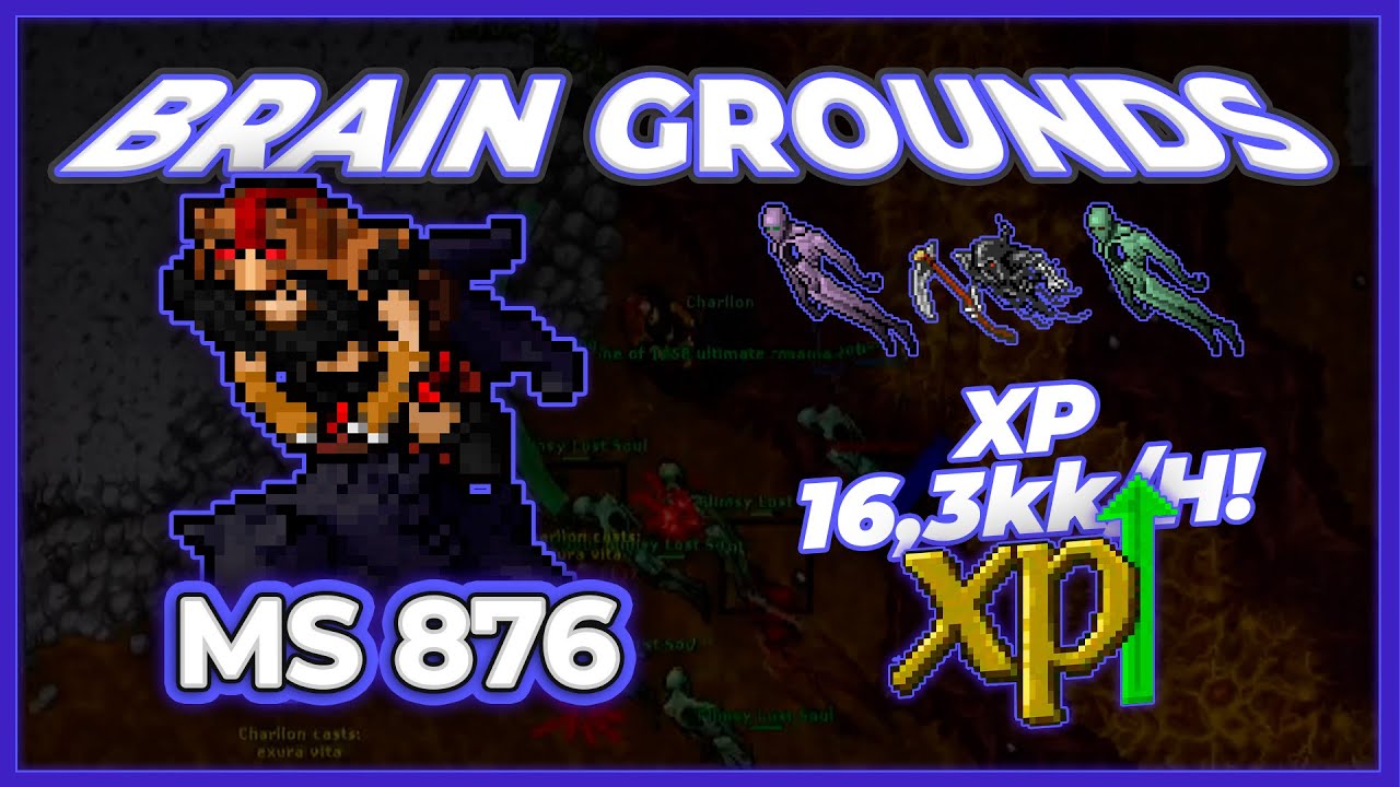 MS 876 Hunt Solo Flimsy Lost Souls (Brain Grounds) 16.3kk/h (225%) - Tibia Hunt #tibia #tibiahunt
