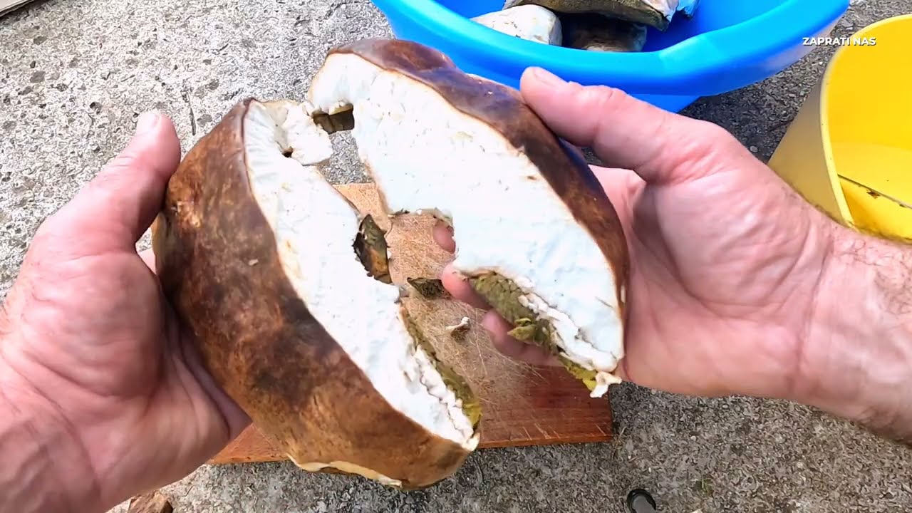 SUSENJE VRGANJA - ZADOVOLJSTVO KOJE OPLEMENJUJE DUSU