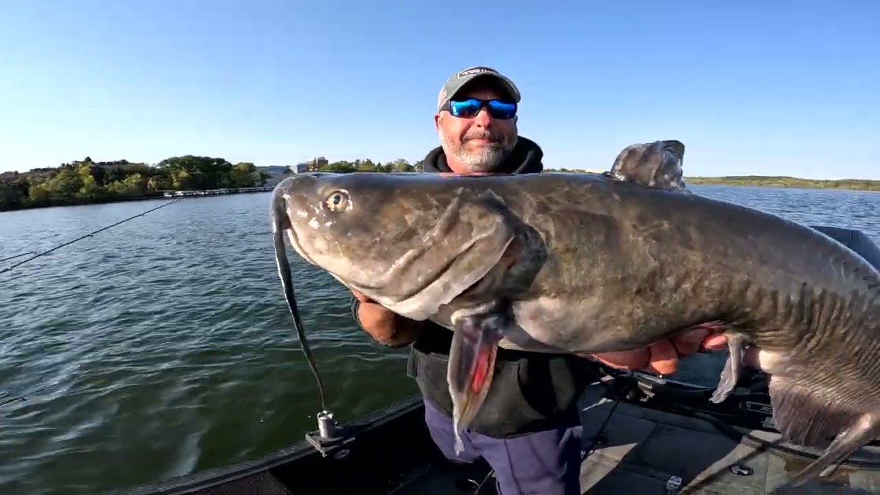Lake Mendota Huge Gills