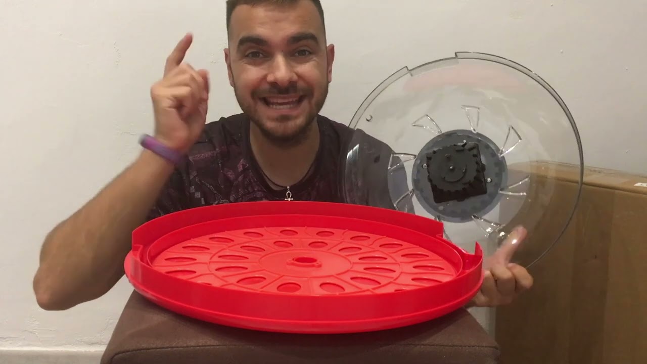 Incubadora de 30 huevos