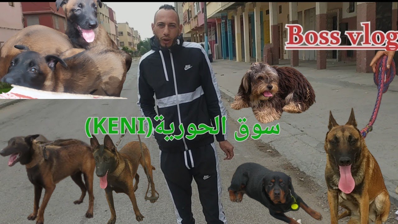 سوق الحورية القنيطرة 30/05/23 القنيطرة !!