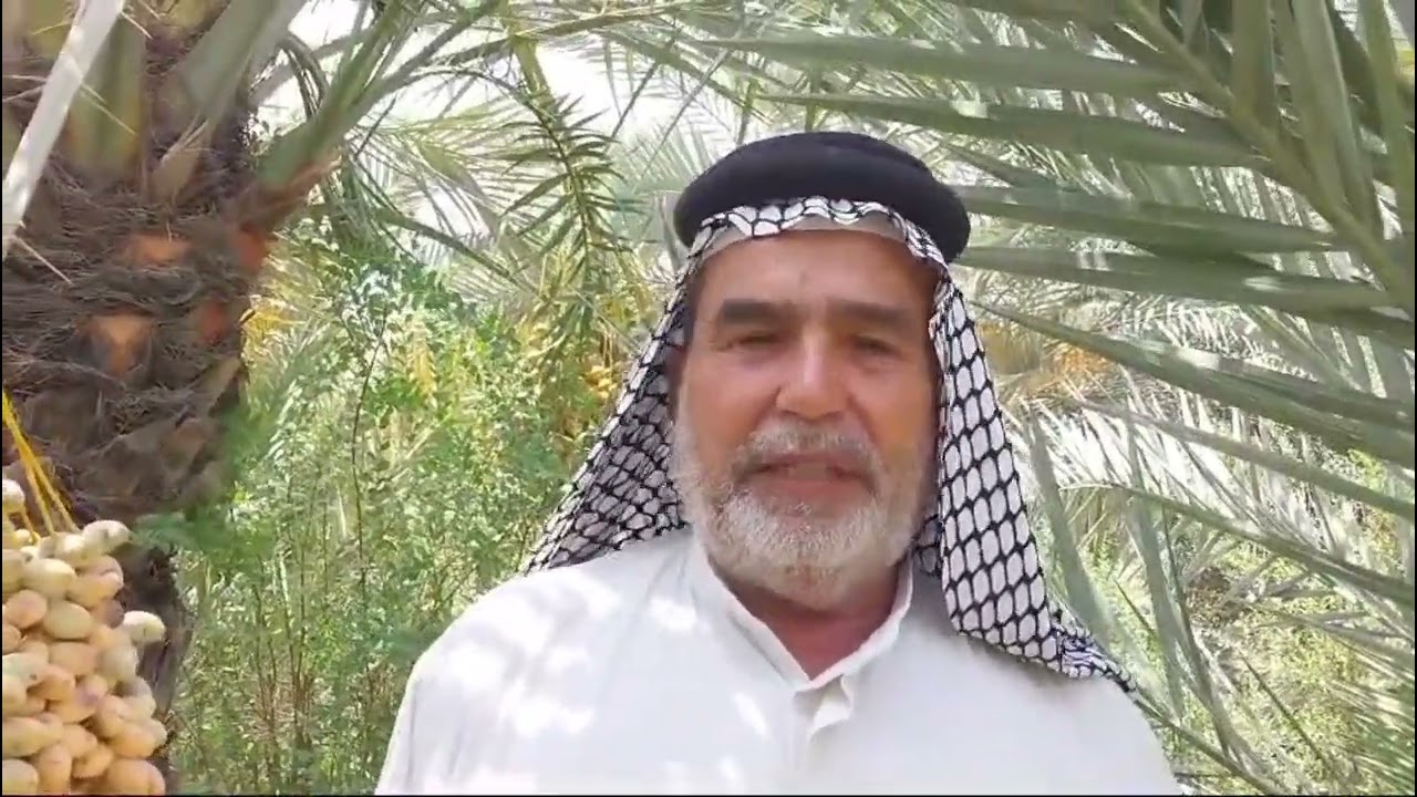 نخلة النيرسي/الشيخ ابو نبراس