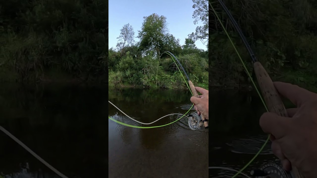 Minija, &scaron;apalas su museline me&scaron;kere. #flyfishinglithuania #flyfishing  #minija #museline