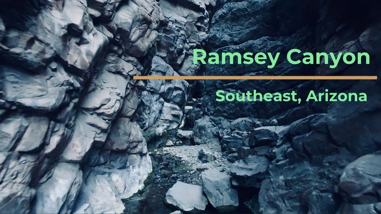 Beautiful and Mysterious Ramsey Canyon | Southeast, AZ