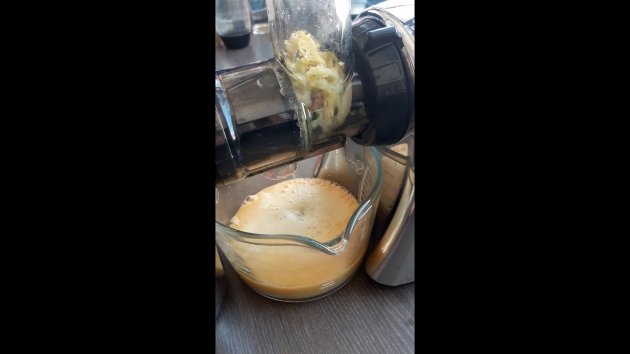Test OMEGA SANA EUJ-707 slow juicer