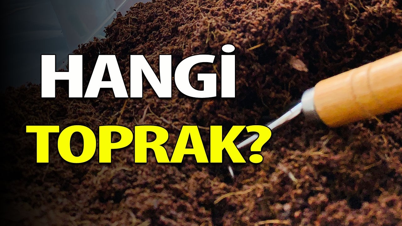 En iyi bitki toprak karışımı nasıl olmalı? 🍃 Bitki toprağı malzemeleri