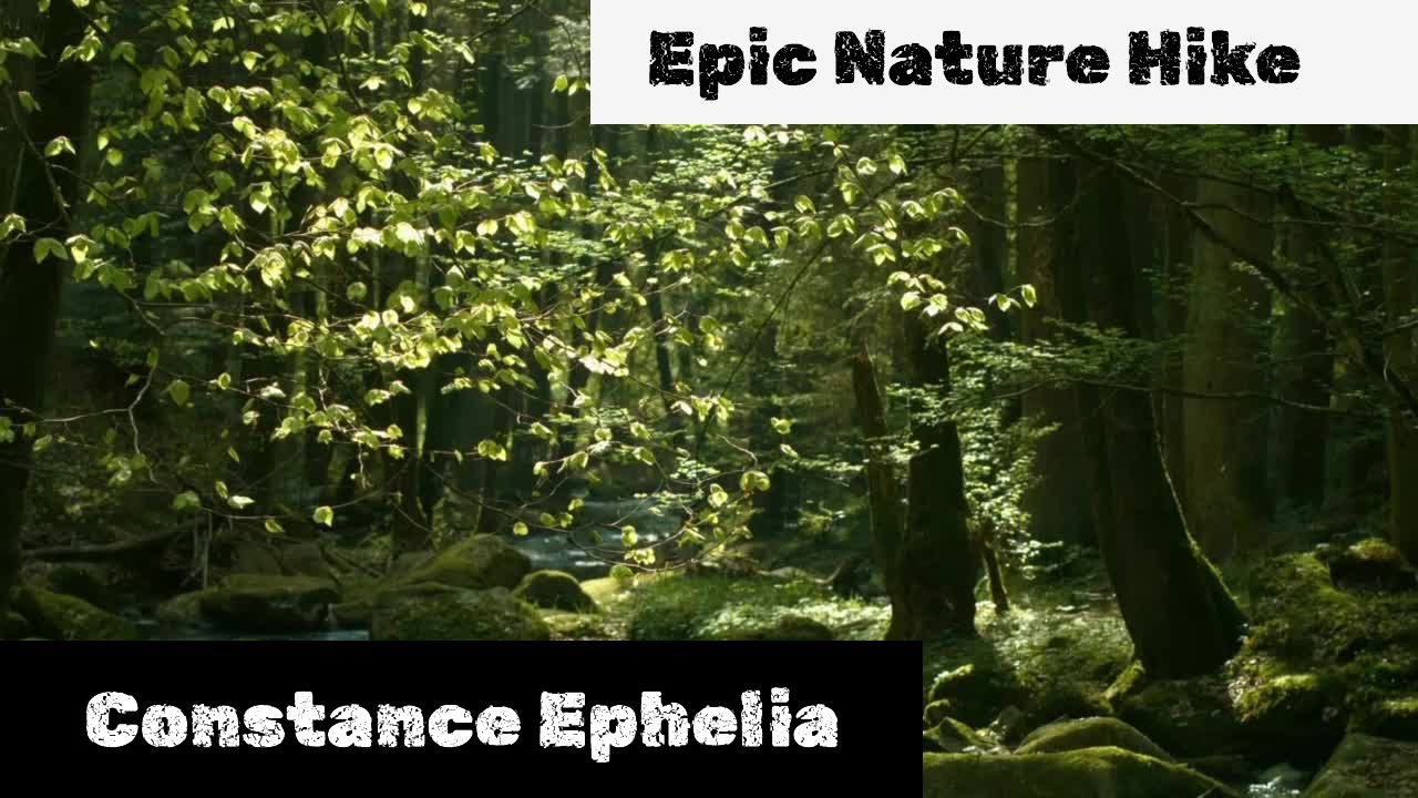 Seychelles Jungle Hike | 1.6km Trail at Constance Ephelia (Full Tour & Tips)