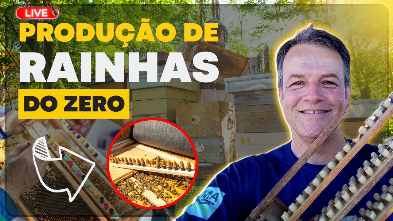 COMO PRODUZIR RAINHAS DO ZERO! 🐝