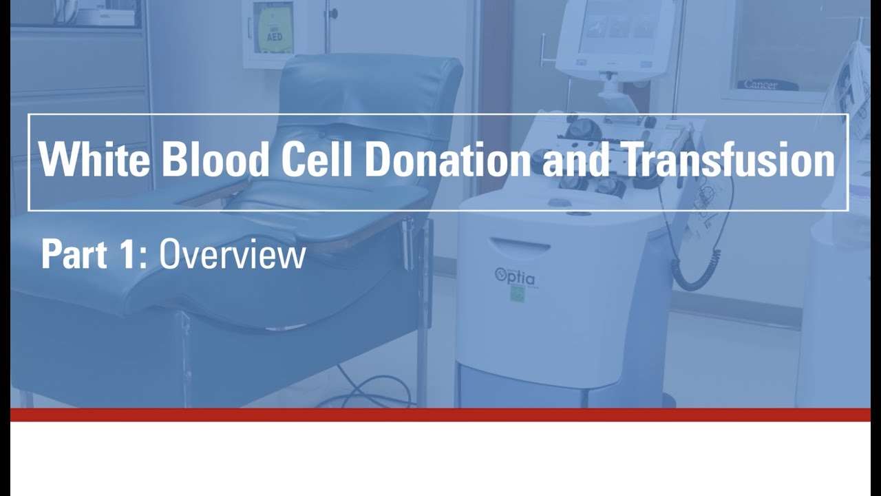 White blood cell donation and transfusion - part 1: Overview